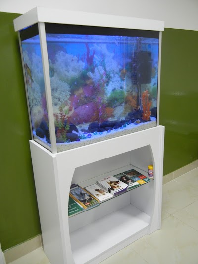 Photos of Small Five Vet Clinic Limited