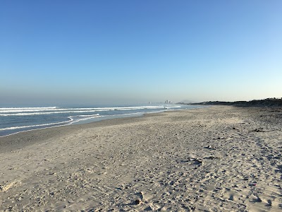 Photos of Atlantic Palms