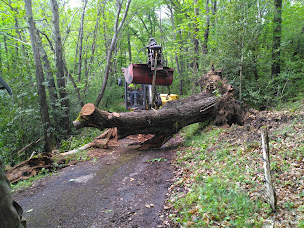 Photo n°7 de SARL Kleweta Pro Services exploitant forestier/ KPS TP à Rennes-les-Bains (Travaux en hauteur)