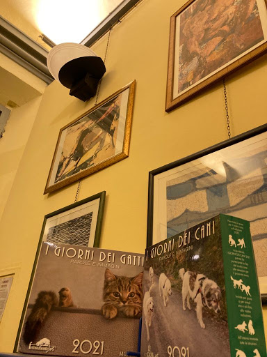 Il Secondo Rinascimento - Visual