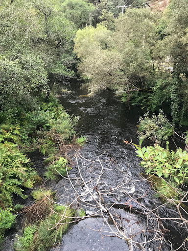 Rocodromo das Pías Park