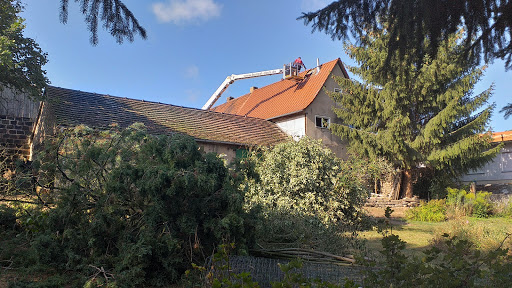 BuZ Bunzel GmbH & Co. KG