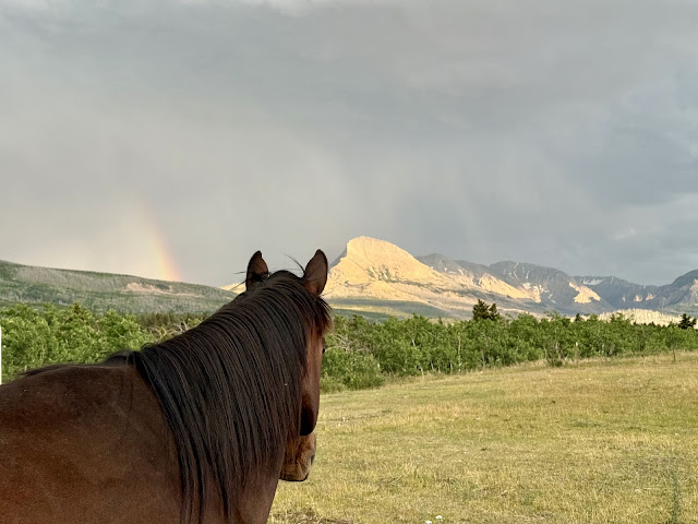 Johnson's of St. Mary by null