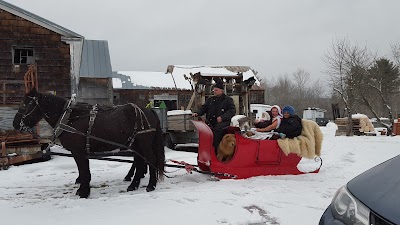Photos of Maine Horse Drawn Services