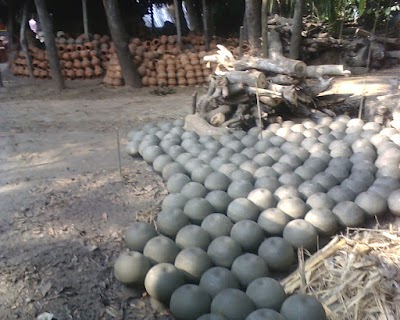 Photos of Badhal Paulbari