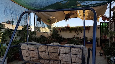 Photos of حديقة الملكه نور