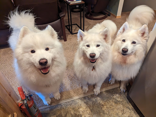 Happy Tails Grooming Salon - Thumbnail