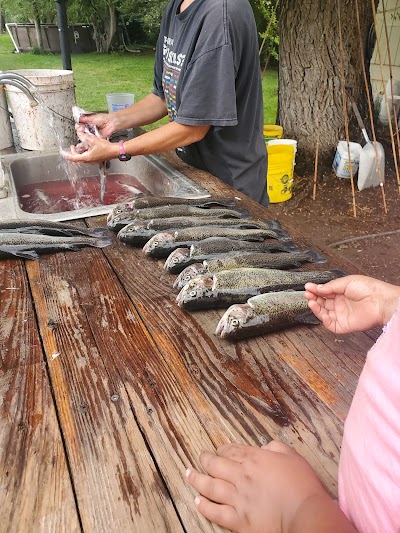 Seeping Springs Trout Lakes