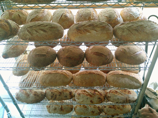 WildFire Bread - Visual
