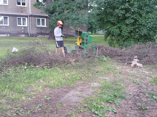 Green Plan ogrody wertykalne i wycinanie drzew, Author: Kamil Makowiak
