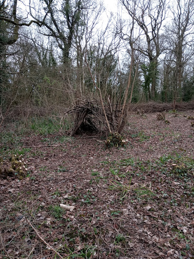 Vincients Wood - Thumbnail