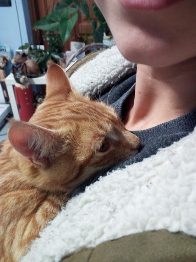 AMBULATORIO VETERINARIO DOTT.SSA BARBIERO CLARA - Thumbnail