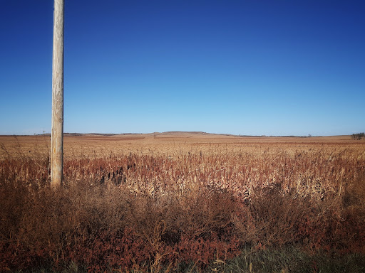 Bolley's Kansas Prairie Farm 2