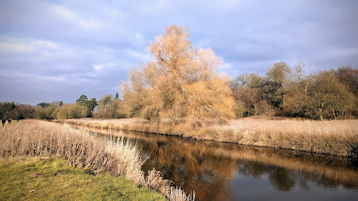 Shugborough Estate Car Park