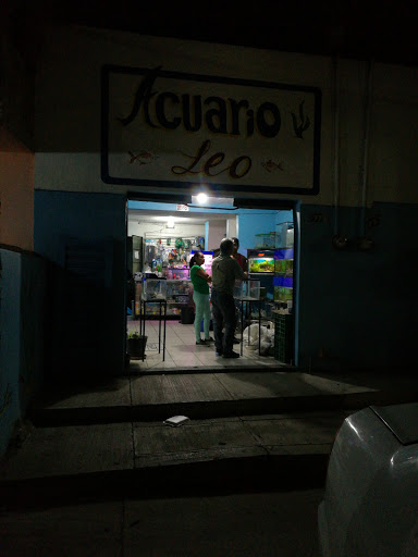 Acuario Leo - Thumbnail