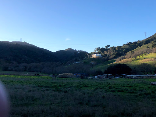 Historic Machado School - Thumbnail