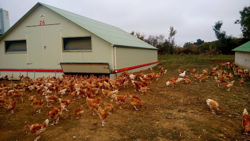 Photo de Abattoirs Mélusins à Lusignan (86600)