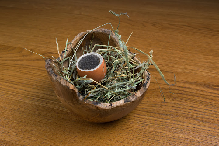 The Royal Snail Hotel by null