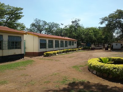 university