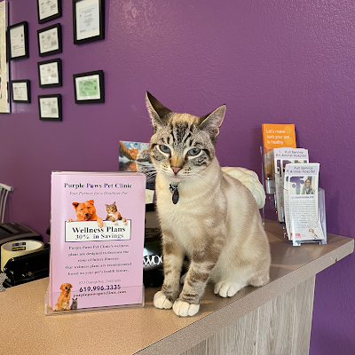 Purple Paws Pet Clinic