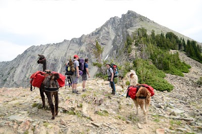 Montana Llama Guides of Bozeman