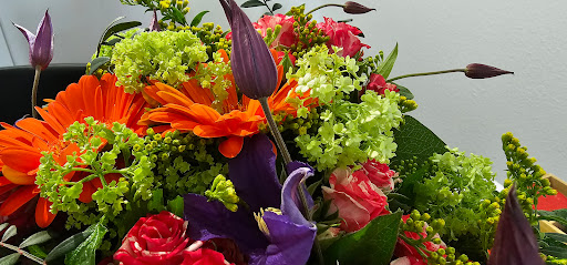 Blumen Zander - Thumbnail