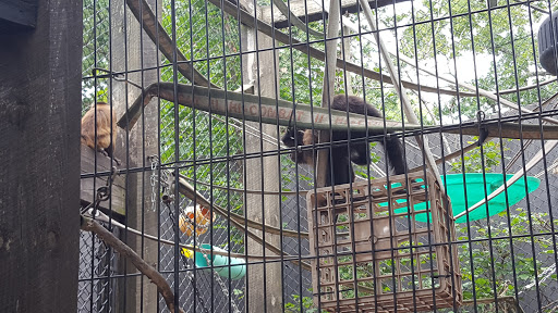 Ochsner Park Zoo - Thumbnail