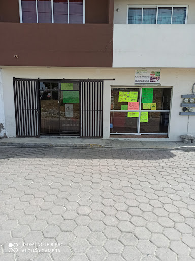 Ecotienda Inncite Gallery - Mexico