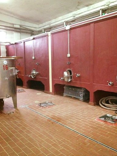 Scala vigneti e cantina - Thumbnail