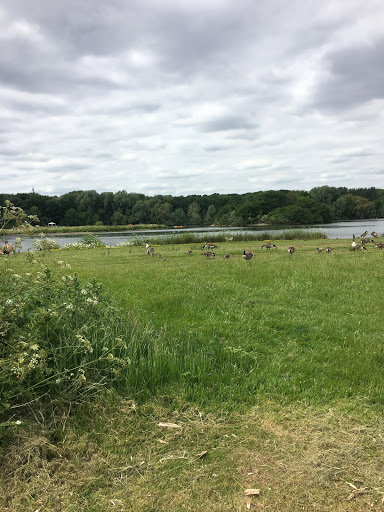 Colwick Marina Gallery - United Kingdom