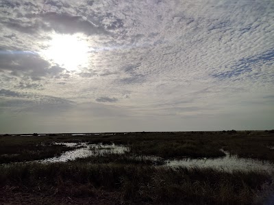 Photos of Parc national du Diawling