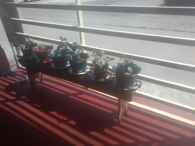 Photos of Las Delicias De Mama