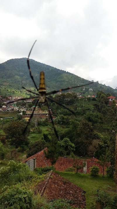 Photos of Villa Buena Vista