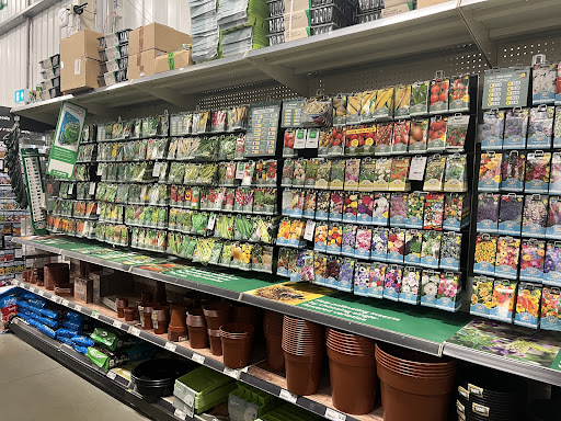Homebase - Blandford Forum - Thumbnail