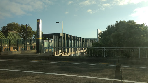 Mt Albert - Thumbnail