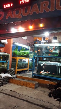 Barito Ornamental Fish Aquarium, Author: Marzuki Juki