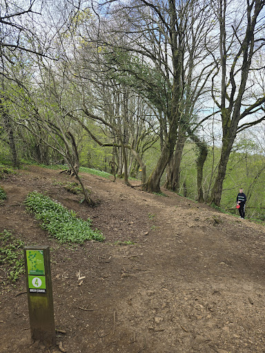 Mendip Activity Centre - Visual
