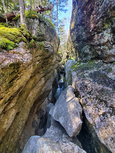 Moose Cave - Visual