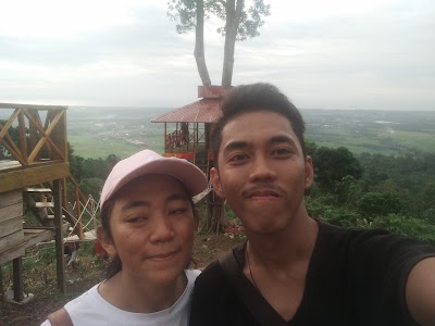 Photos of Tree House Sarasah Sungai Buluh