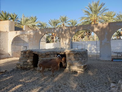 Desert Zoo