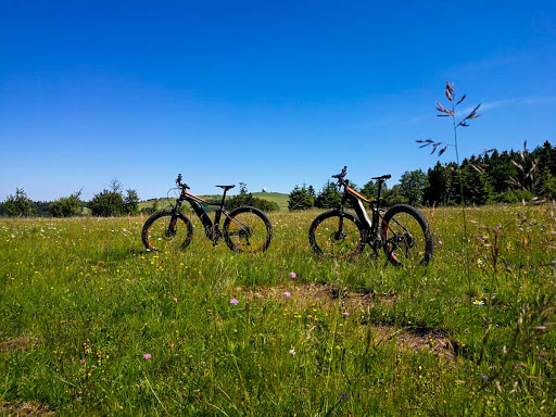 Bike 950 Wasserkuppe - Thumbnail