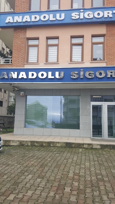 Anadolu Sigorta - Karadeniz Bölge Müdürlüğü