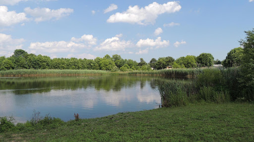 Waterford Estates - Visual
