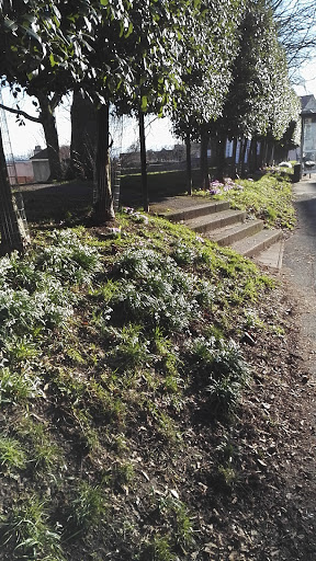 Kingsdown Park - Visual