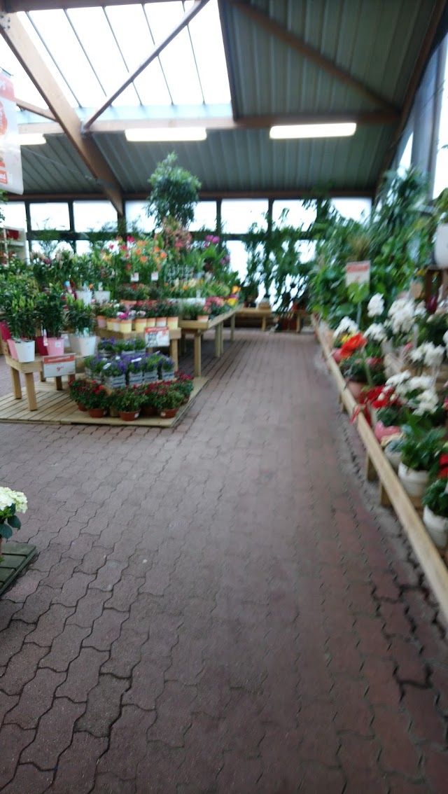Jardiland