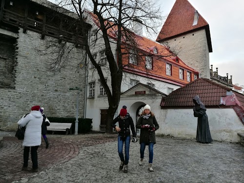 Danish King's Garden