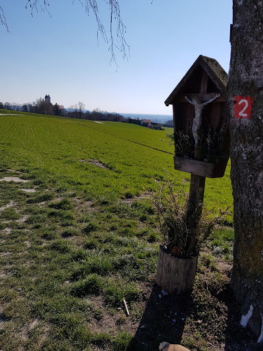 Baummarterl - Visual