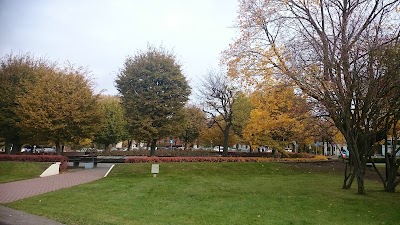 Photos of Evelatus