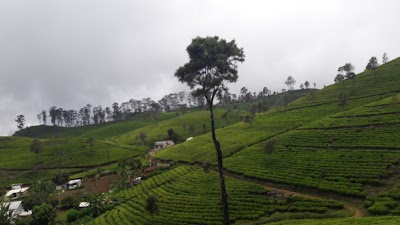 place-of-worship
