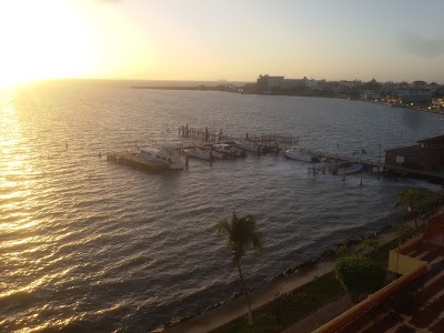 Photos of Marina Towers